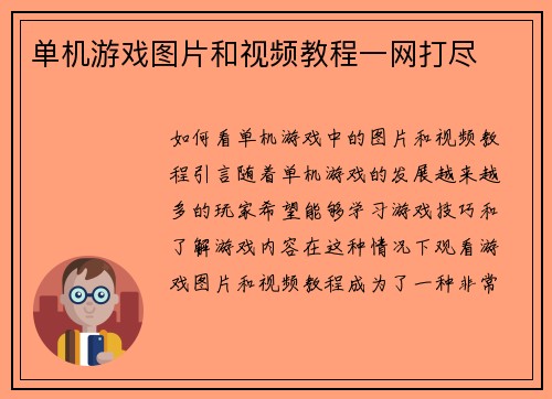 单机游戏图片和视频教程一网打尽